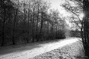 Winter-1.jpg