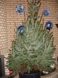 DSC00499.jpg
