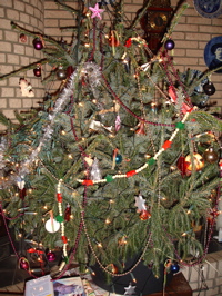 DSC00506.jpg