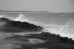 strand.jpg