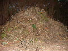1406.jpg