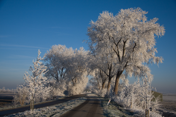 winter-1.jpg