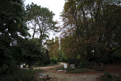 CROOSWIJK-1.jpg