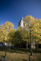 herfst-1.jpg
