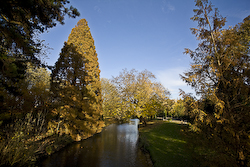 crooswijk-1.jpg