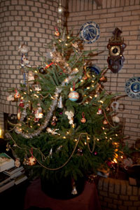 kerstboom.jpg
