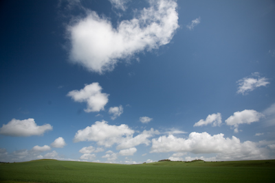 windows.jpg