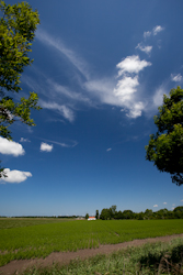 blauw-1.jpg