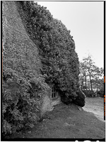 oudetonge-04.jpg