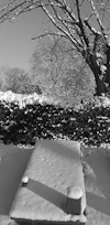 crooswijk-01.jpg