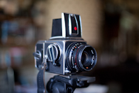 hass-001.jpg