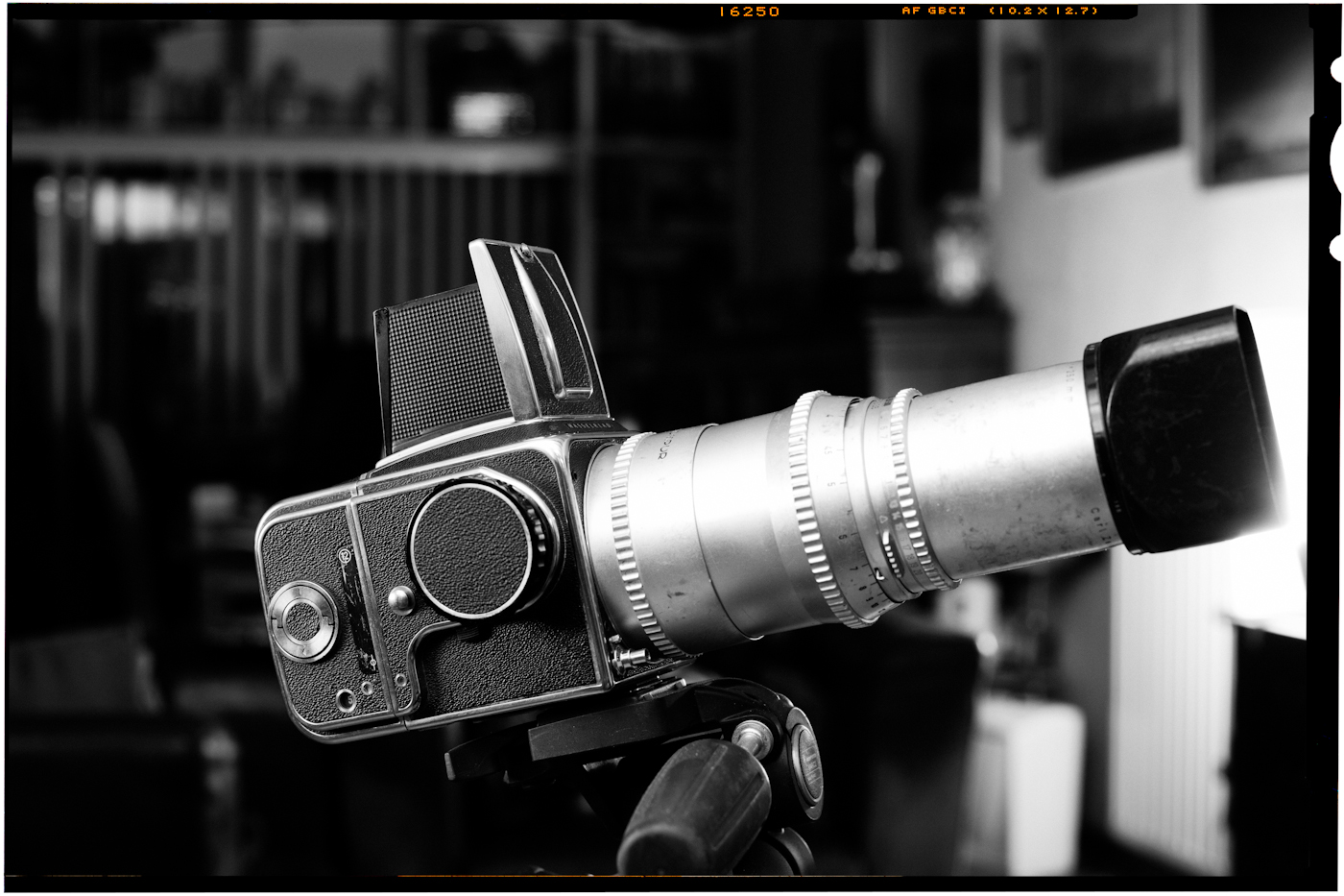 Hblad-001.jpg