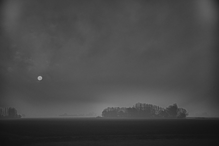mistig-001.jpg