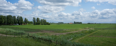 x100-001.jpg