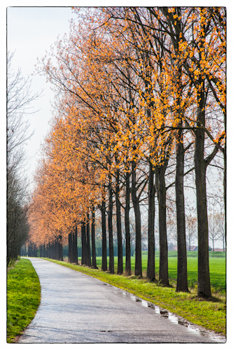 Herfst-001.jpg