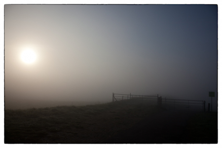 mist-001.jpg